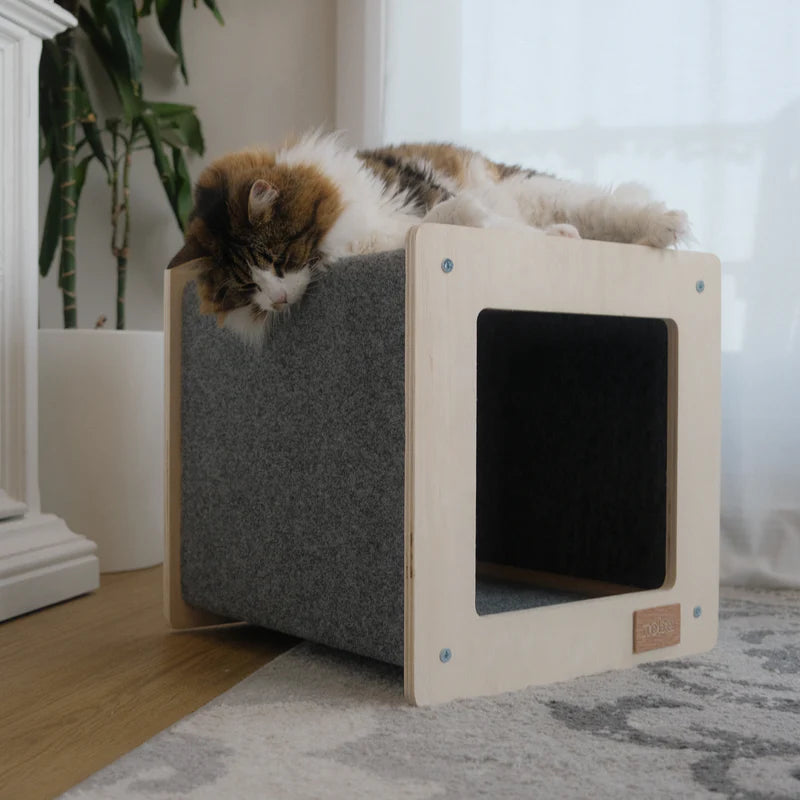 cat laying on a square cat house