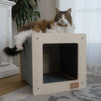 Cat sitting on a wooden cat house with a plant and white cabinet in the background