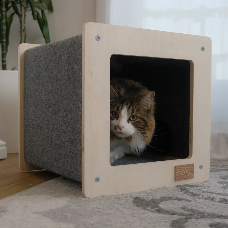 Cat peeking out from a wooden pet house with gray cushion on a carpeted floor.