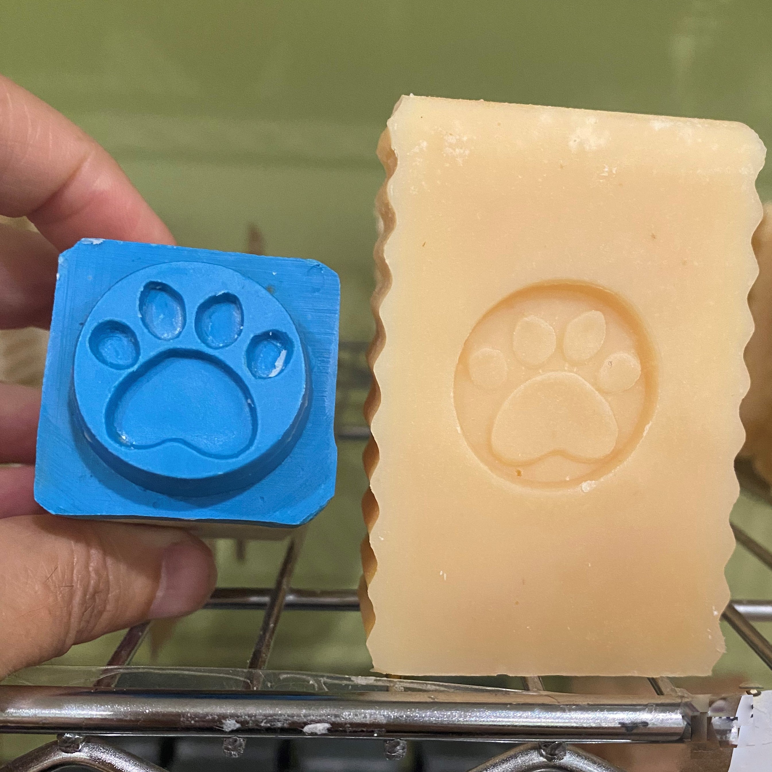 Bar of soap with a paw print impression next to a blue mold with a paw print on a metal rack.