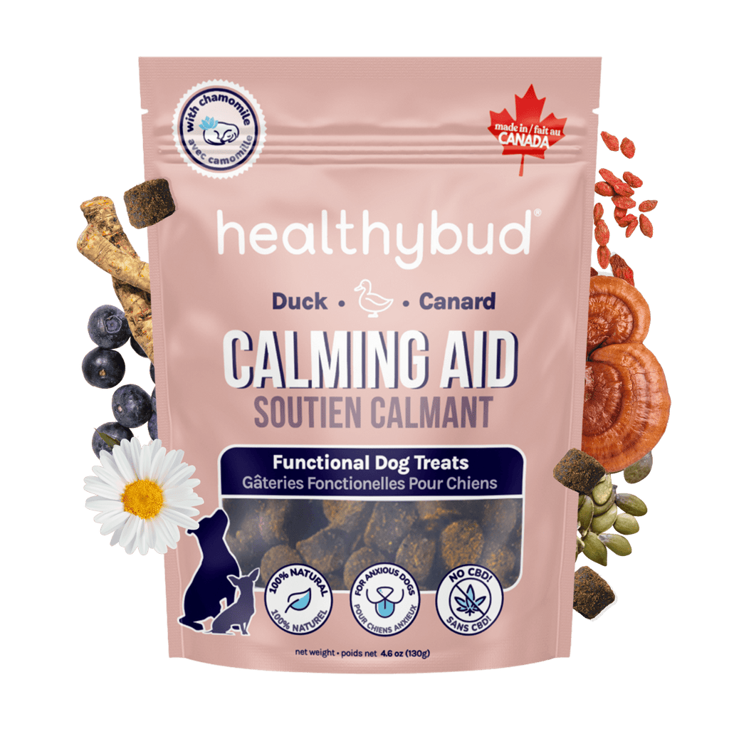 Package of healthybud Calming Aid dog treats with natural ingredients on a green background
