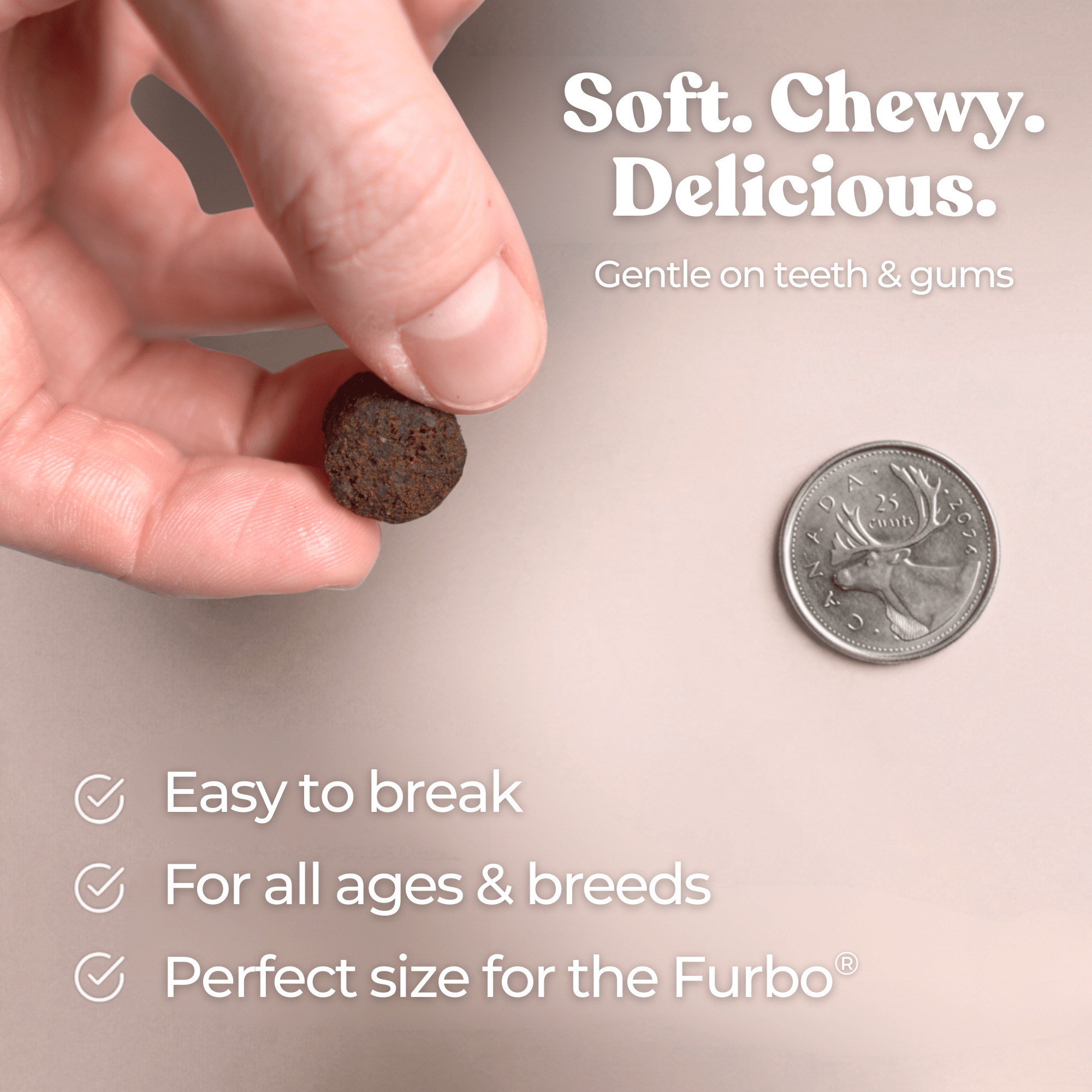 Dog treat held between fingers with a coin for scale, text about treat's qualities.