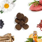 Collage of dog treats, flowers, meat, berries, herbs, and a bottle with lemons on a white background.