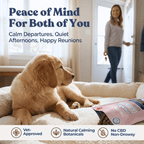 Dog lying on a bed with a product package, with text about pet tranquility solutions.