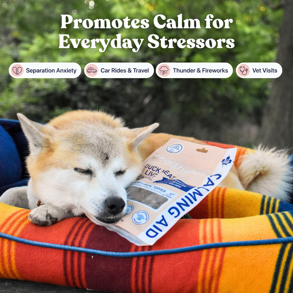 Dog lying on a colorful pet bed with a calming aid package, surrounded by greenery.