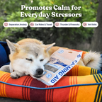 Dog lying on a colorful pet bed with a calming aid package, surrounded by greenery.