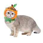 Cat wearing a pumpkin costume on a white background