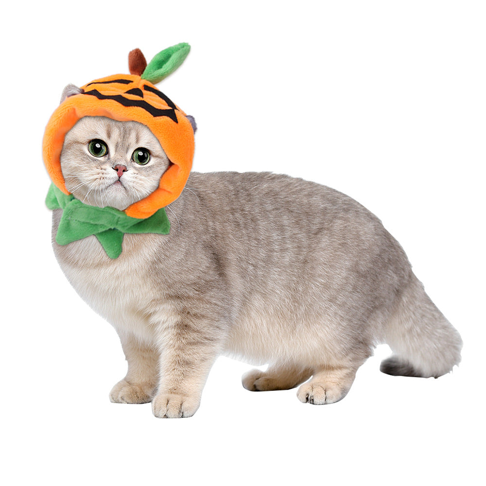 Cat wearing a pumpkin costume on a white background
