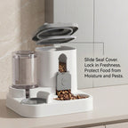 Pet feeder with water dispenser on a kitchen counter