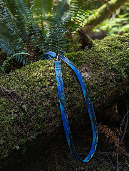 Blue dog leash on a mossy log in a forest setting