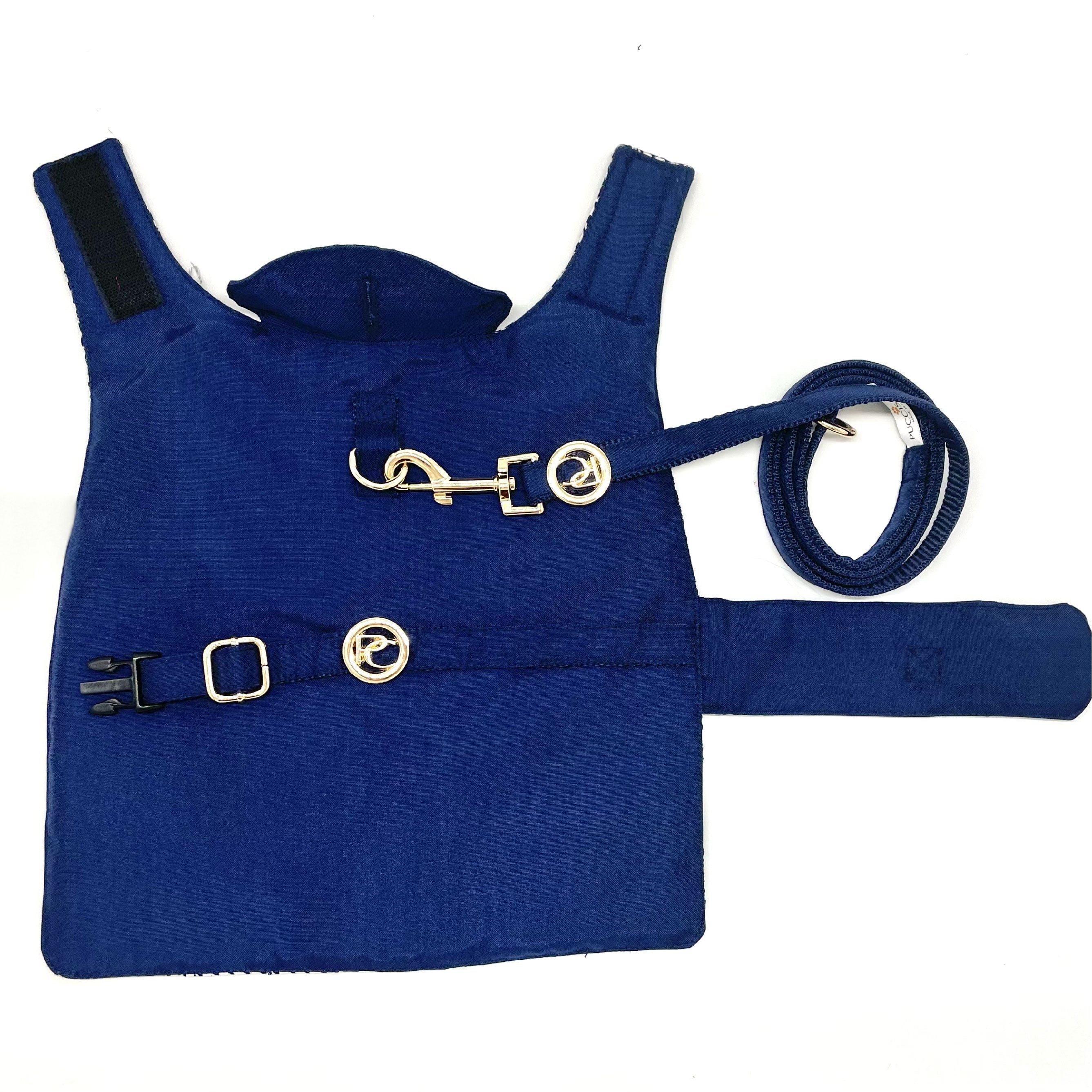 Blue dog rain coat with gold buckles on a white background