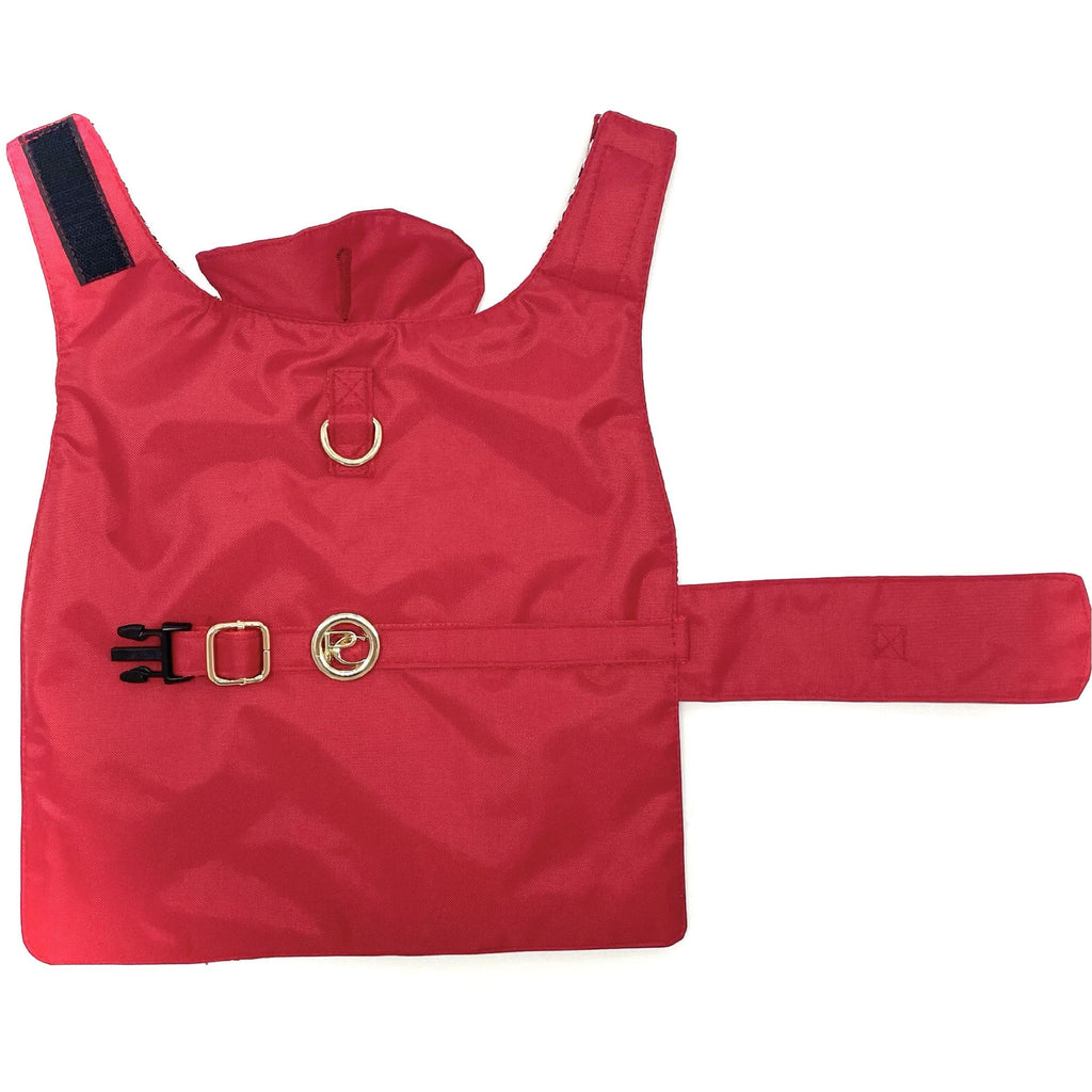 Red dog raincoat on a white background