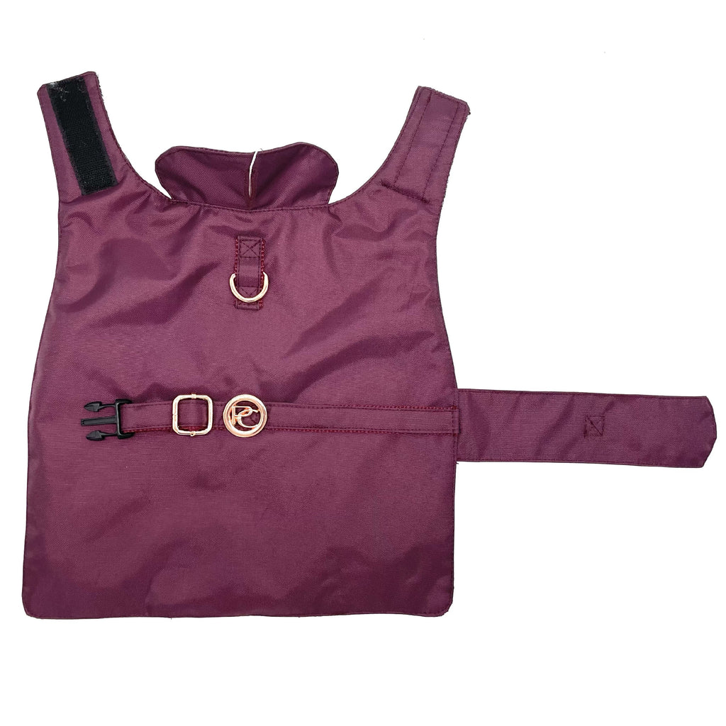 Burgundy dog rain coat on a white background
