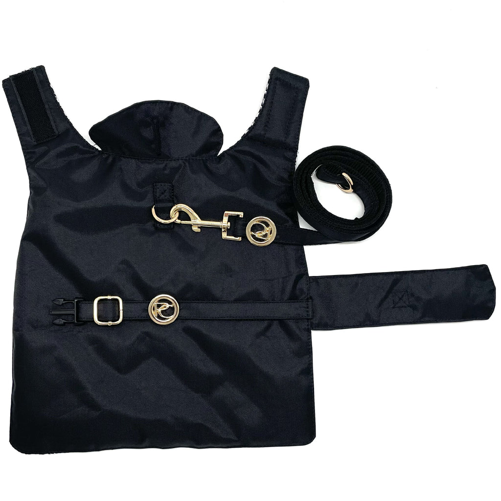 Black dog raincoat with gold buckles and a matching leash on a white background