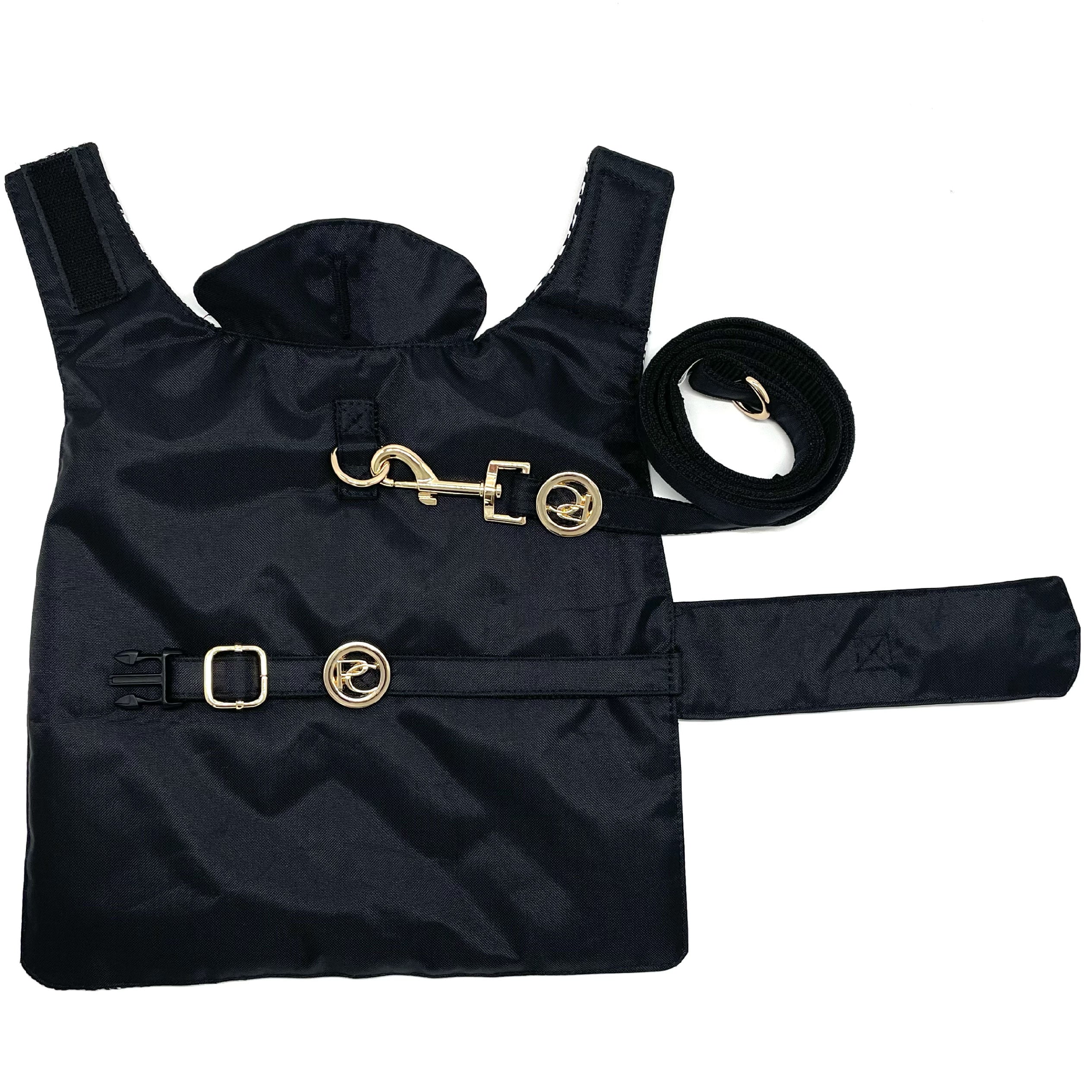 Black dog raincoat with gold buckles and a matching leash on a white background