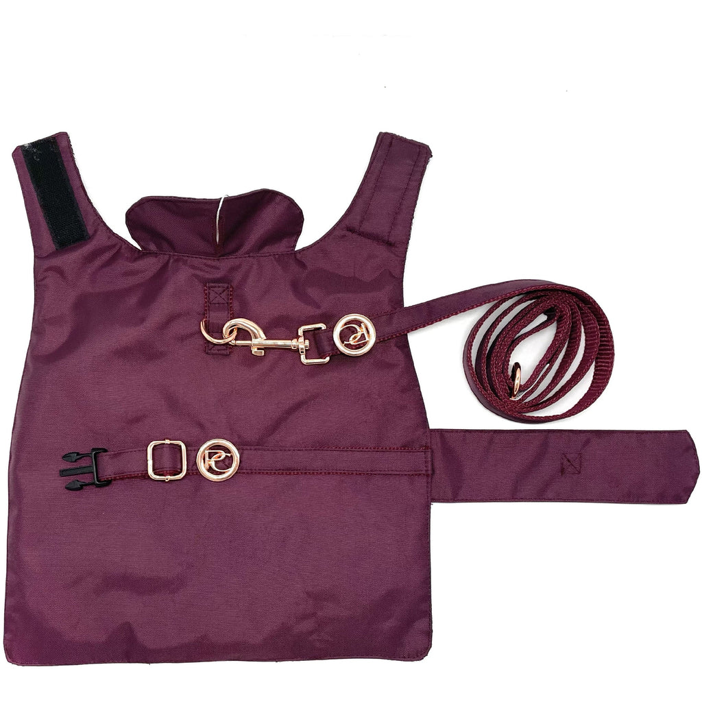 Burgundy dog rain coat with gold hardware and matching leash on a white background