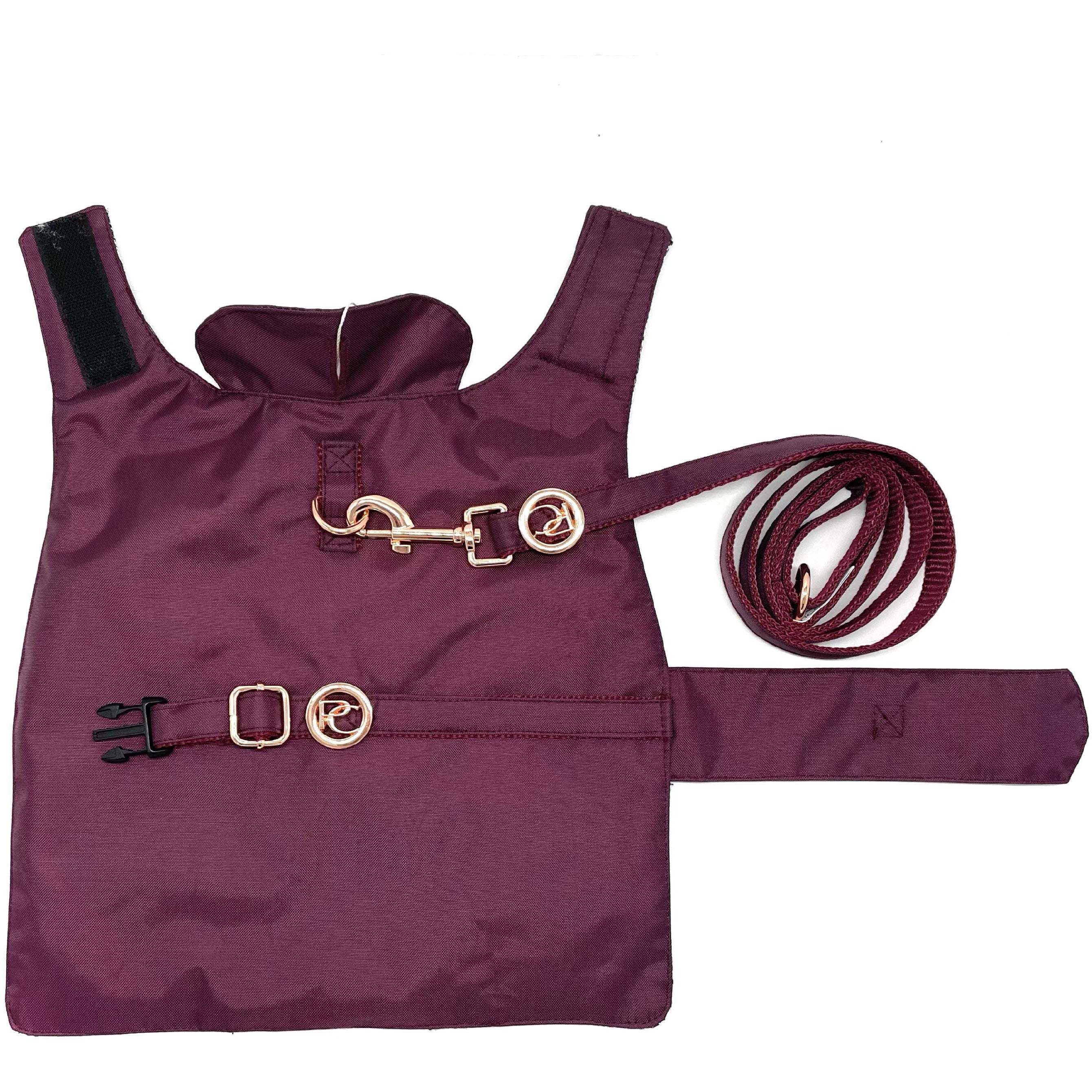 Burgundy dog rain coat with gold hardware and matching leash on a white background