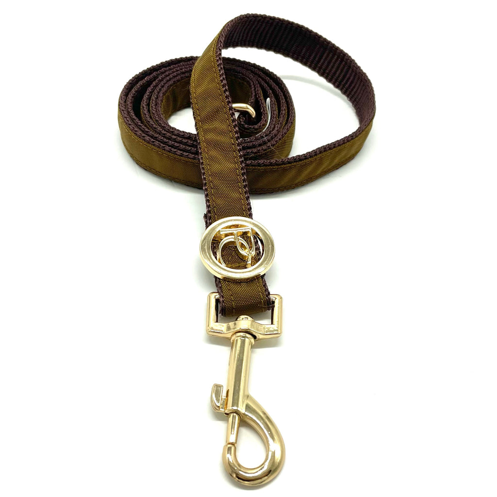 Gold dog leash with gold clasp on a white background