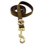 Gold dog leash with gold clasp on a white background