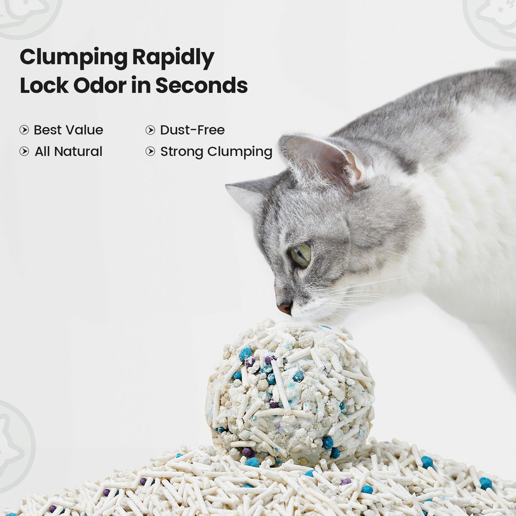 Cat playing with clumping cat litter on a light gray background