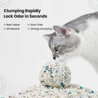 Cat playing with clumping cat litter on a light gray background