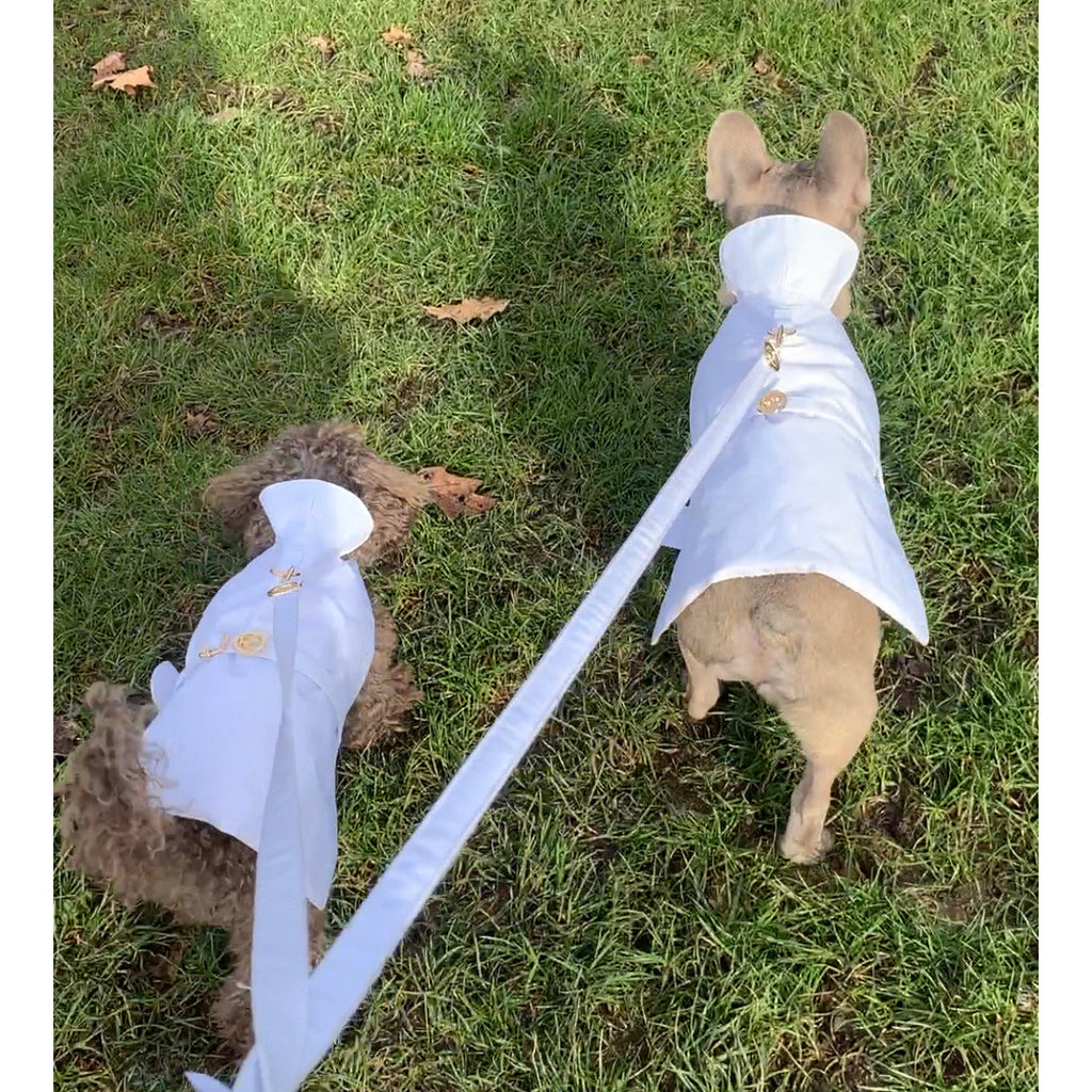 Two dogs with white raincoats standing on grass