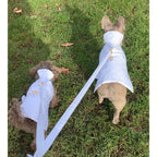 Two dogs with white raincoats standing on grass