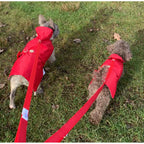 Two dogs wearing red raincoats on a grassy field
