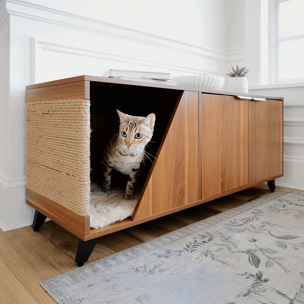 Cat peeking out from a wooden cabinet with a scratching post inside a home.
