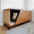 Cat peeking out from a wooden cabinet with a scratching post inside a home.