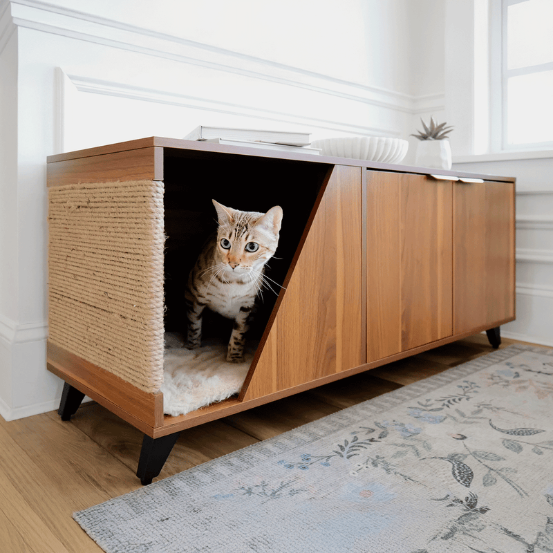 Cat peeking out from a wooden cabinet with a scratching post inside a home.