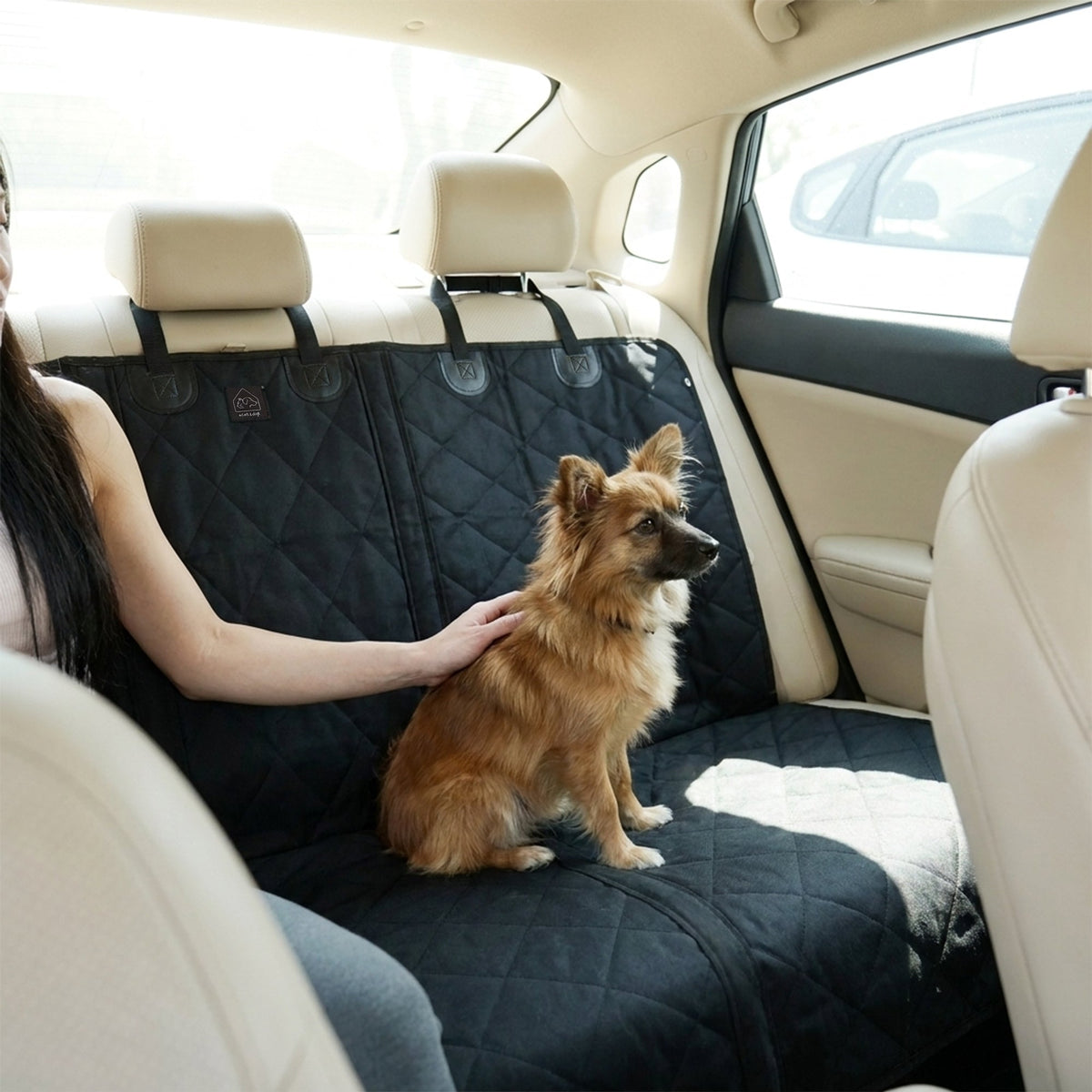 Dog sitting on a black car seat cover in the back of a vehicle with a person petting it.