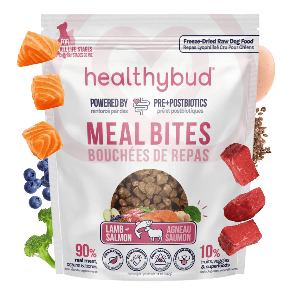 Package of healthybud Meal Bites with ingredients displayed on a green background