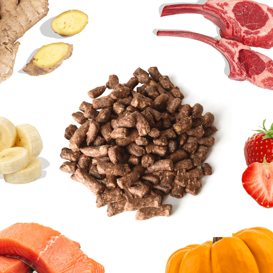Dog food pellets surrounded by raw meat, vegetables, and fruits on a white background