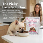 Dog eating from a bowl with a 'healthybud' product in the foreground, in a kitchen setting.