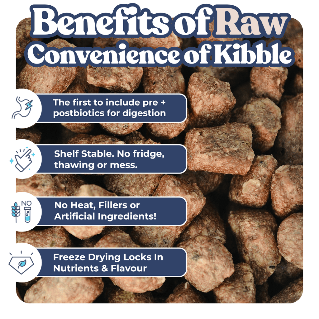 Raw pet food blocks with text highlighting benefits on a white background