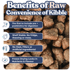 Raw pet food blocks with text highlighting benefits on a white background