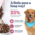 Dog food packaging with a dog wearing a bandana, text about health improvements, and icons.
