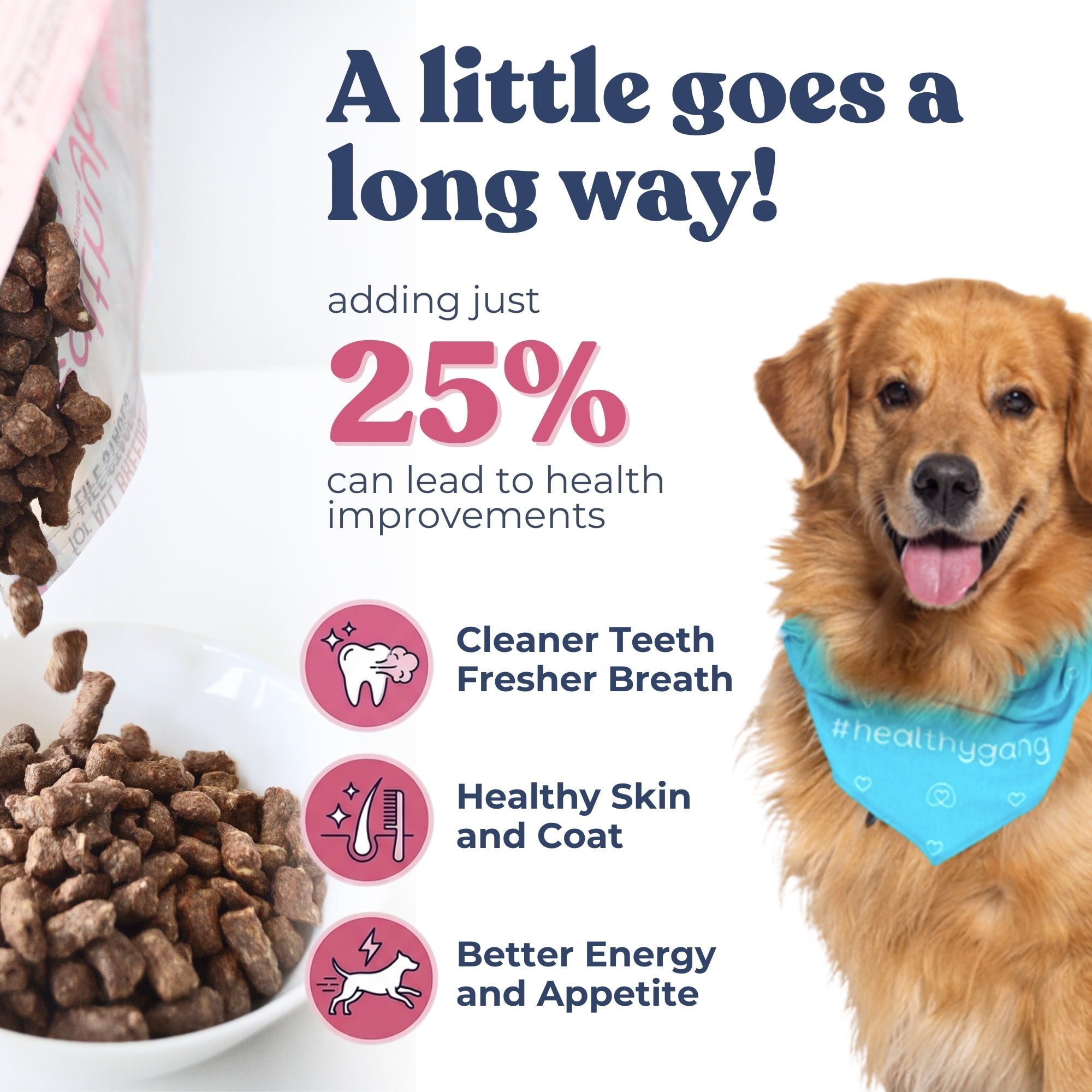 Dog food packaging with a dog wearing a bandana, text about health improvements, and icons.