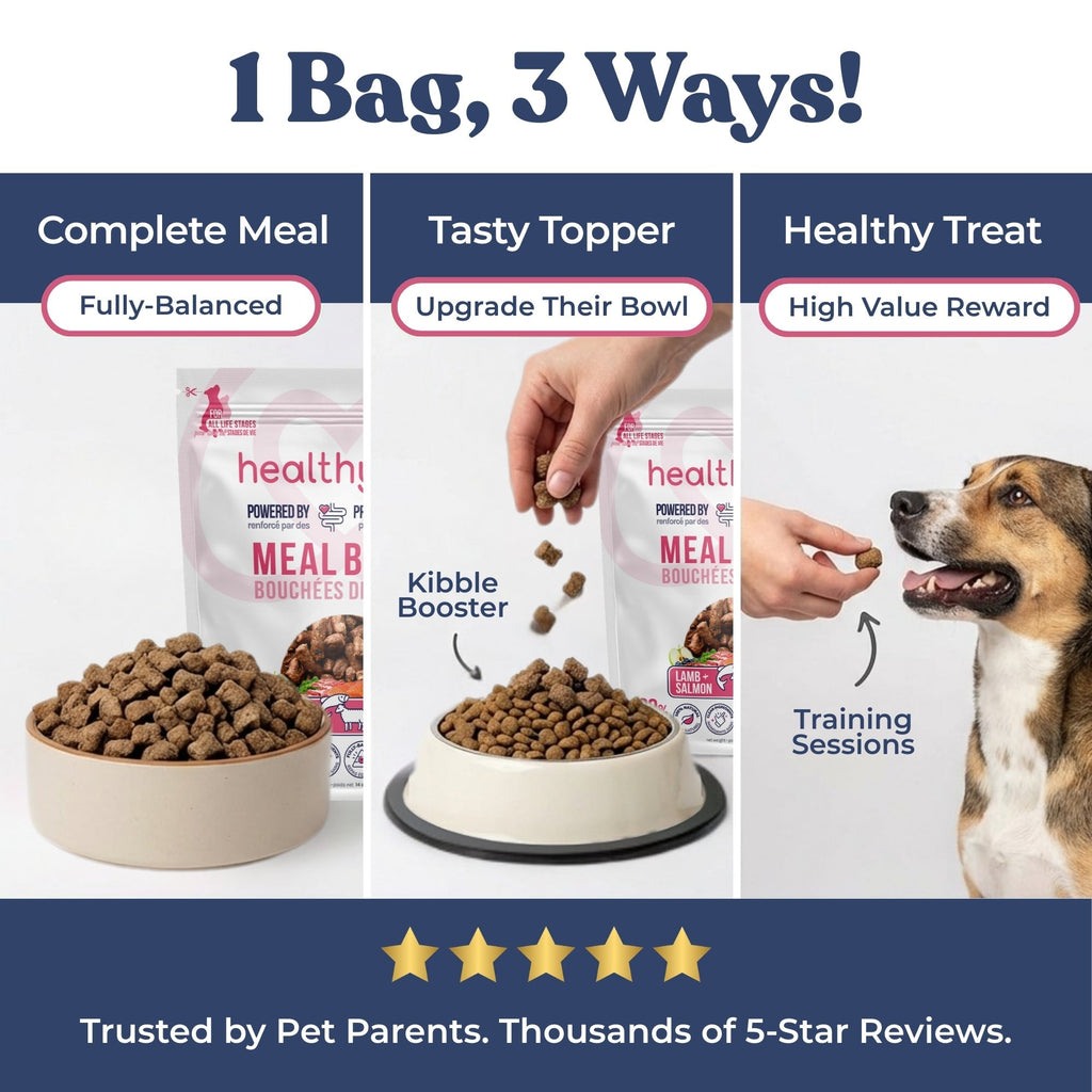 Dog food packaging with text on uses and benefits, featuring a dog and human hand interacting with the product.
