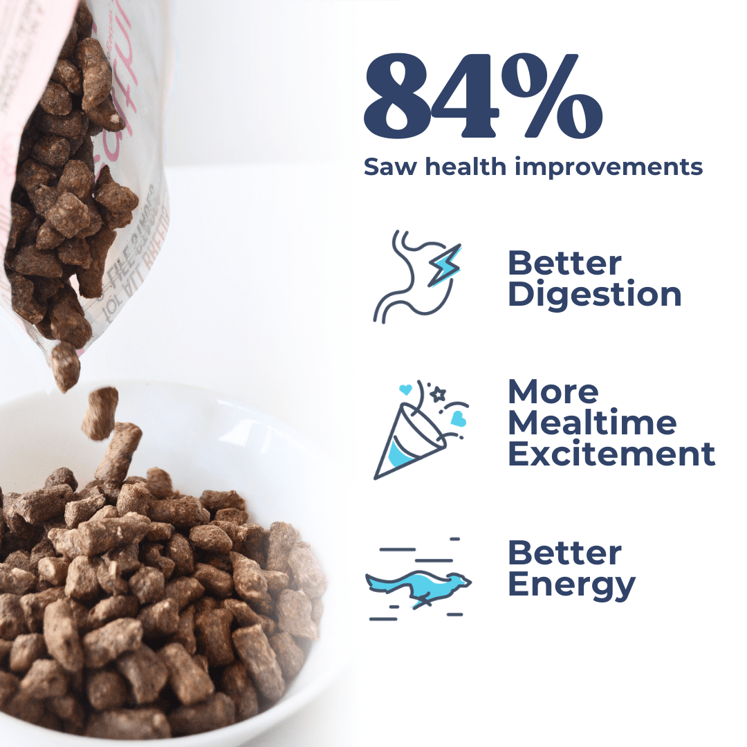 Dog food being poured into a bowl with health improvement statistics and icons on a white background