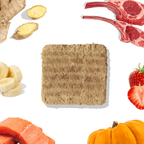 Square piece of dog food patty surrounded by various food items on a white background