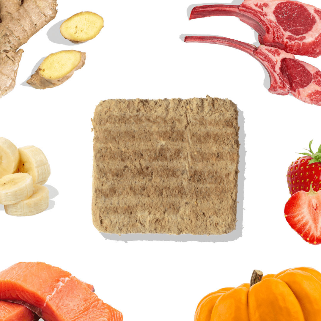 Square piece of dog food patty surrounded by various food items on a white background