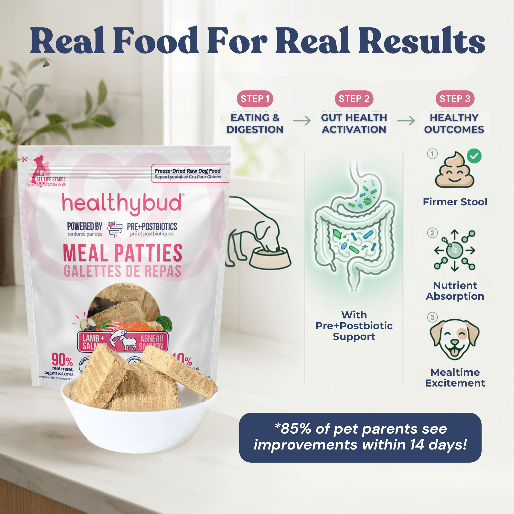 Healthybud meal patties packaging with product details and benefits on a white background