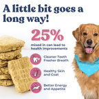 Dog treats with a dog wearing a bandana, text about health benefits, and a stack of treats.