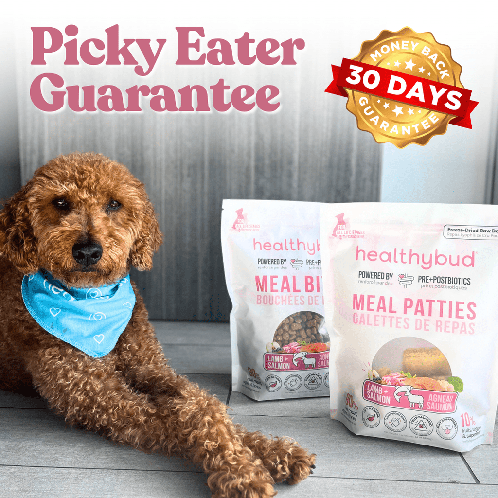 Dog with 'Picky Eater Guarantee' and '30 Days Money Back' text next to dog food packages.