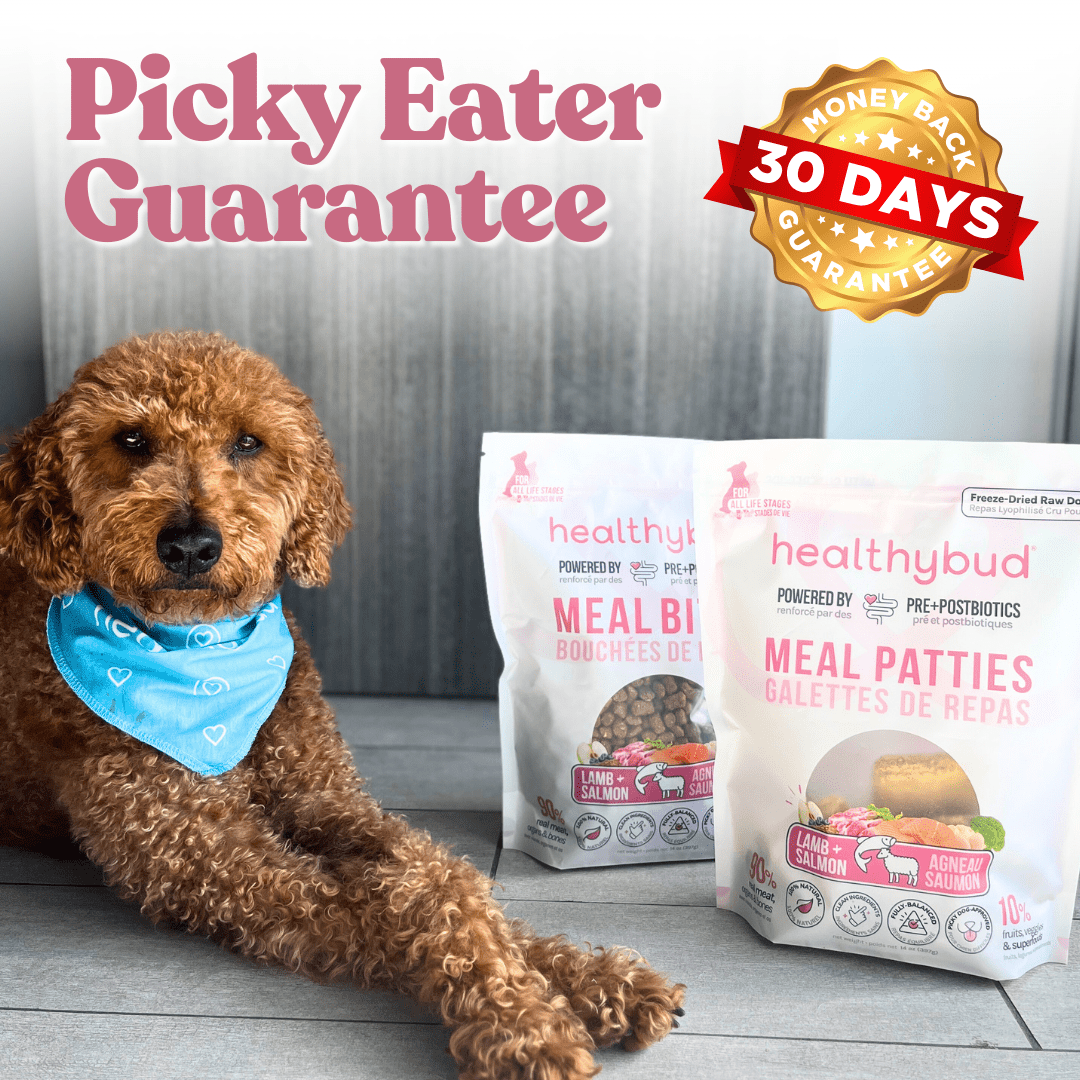Dog with 'Picky Eater Guarantee' and '30 Days Money Back' text next to dog food packages.