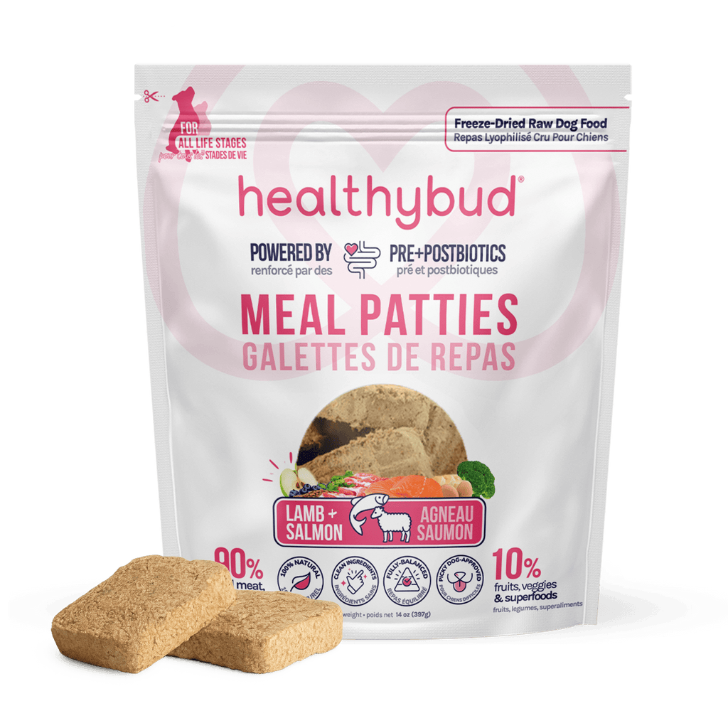 Package of healthybud Meal Patties with two patties in front on a green background