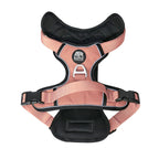 Dog harness with 'Kuma' branding on a white background