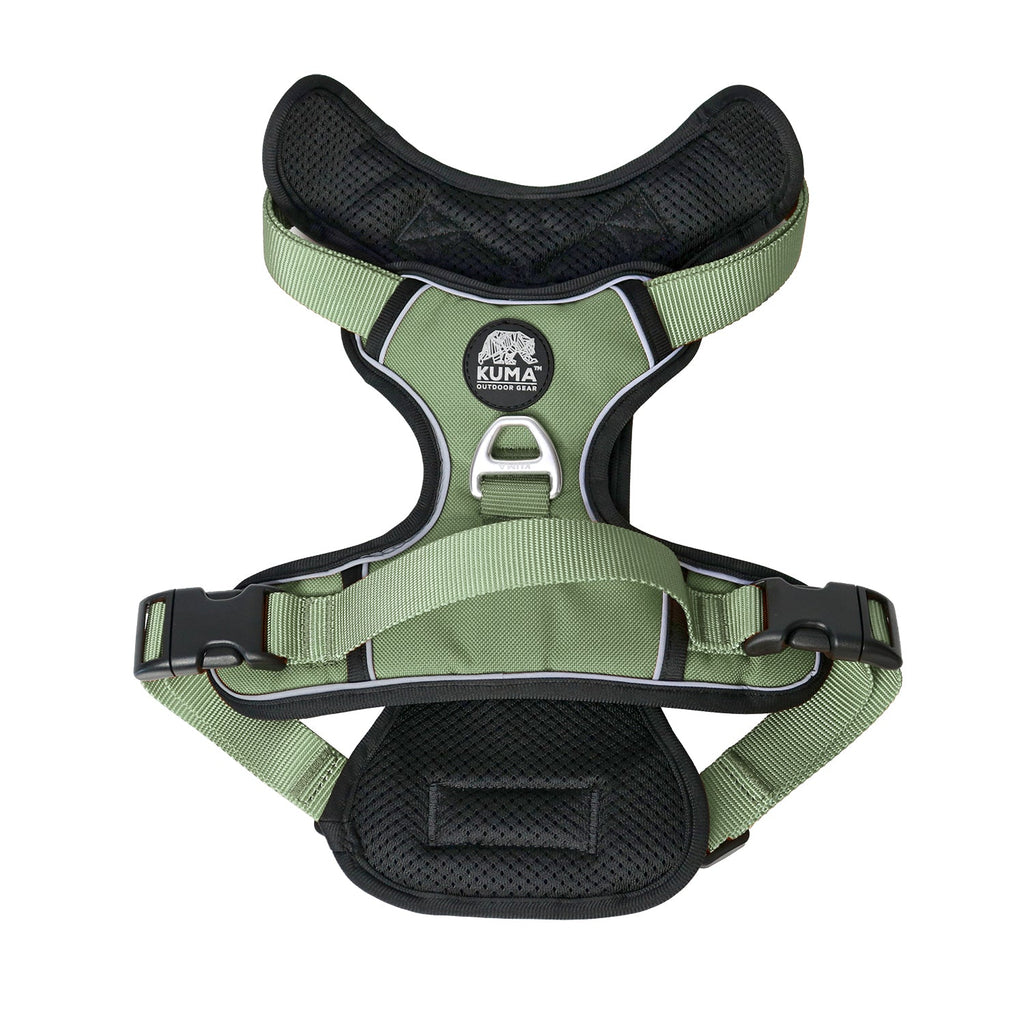 Green dog harness with black padding on a white background